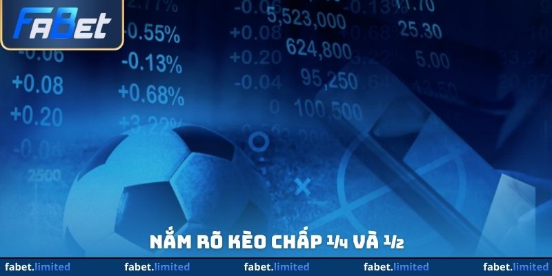 Nắm rõ kèo chấp ¼ và ½ 